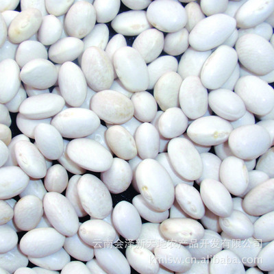 2011年优质日本白芸豆 来源、价格与李双文的农产品贸易