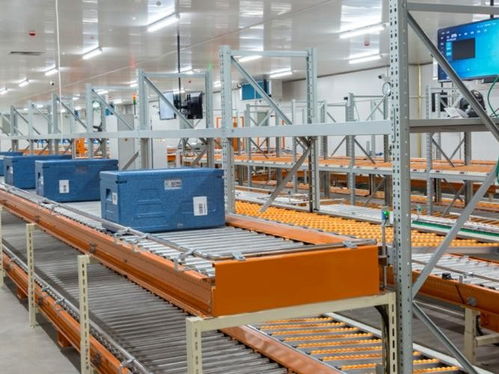 2024中国粽子行业消费与品牌现状白皮书 从传统节令食品到农产品产业链