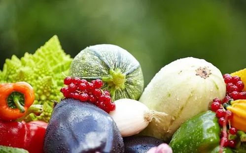 食用农产品合格证制度 意义、挑战与地方快速落地的助推策略