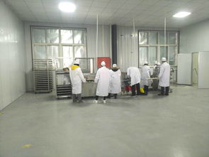 陕西石泉珍爱农产品加工厂竣工 为蚕桑产业注入新动能